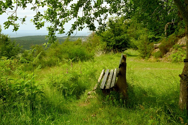 战的他在面 战的他在面