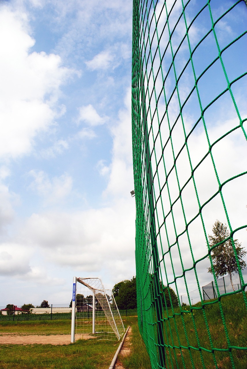 亚冬会短道速滑开赛首日：中国队全项晋级 刘少昂打破赛会纪录.