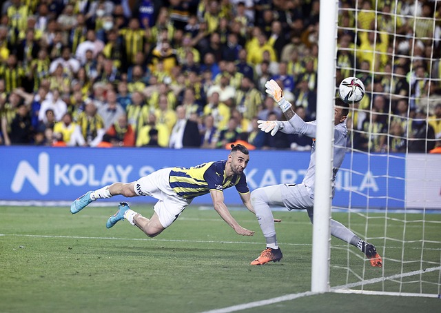 詹姆斯与黄 詹姆斯与黄