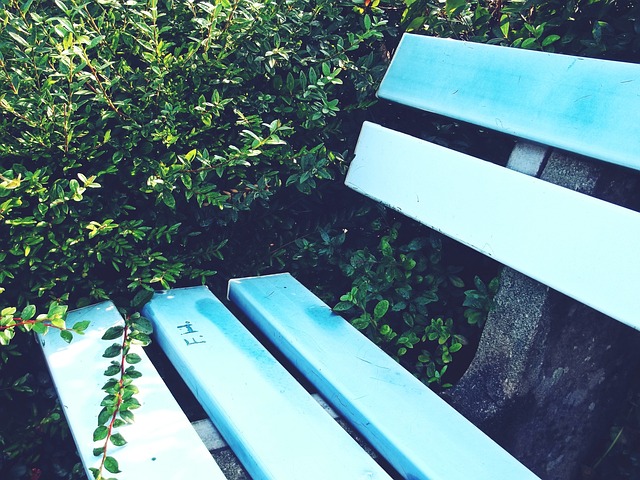 年的数据显 年的数据显