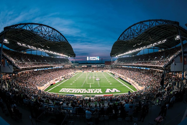 足球世界輸 足球世界輸