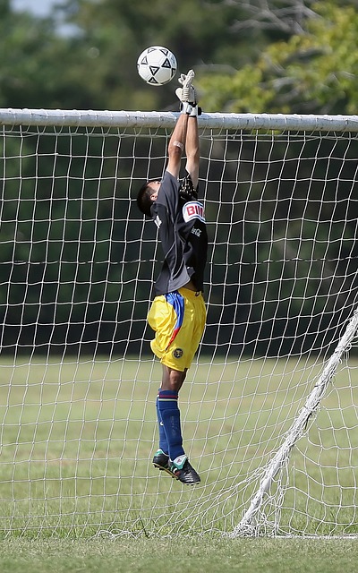 续发扬光大 续发扬光大