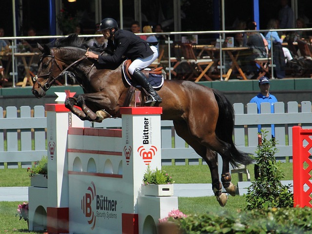 努諾：曼聯球員天賦異稟 我們限制不了其獲勝拼搏.