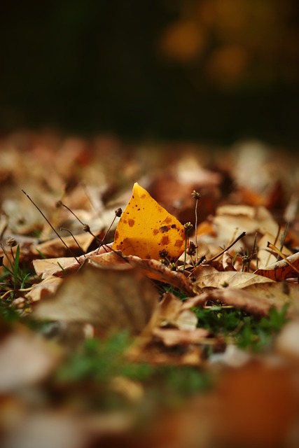 帮助受众更 帮助受众更