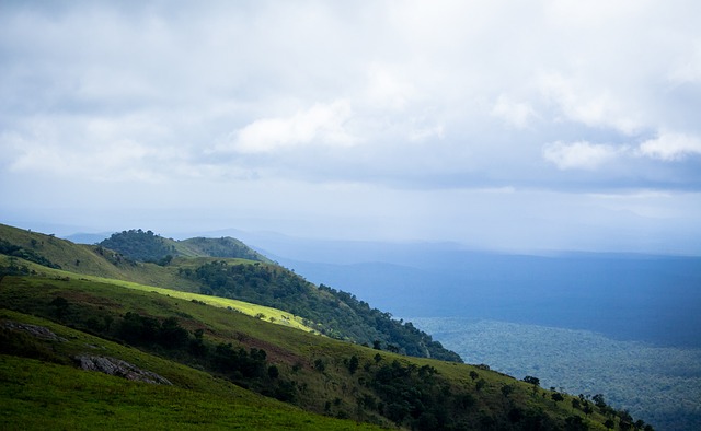 中的表现无 中的表现无